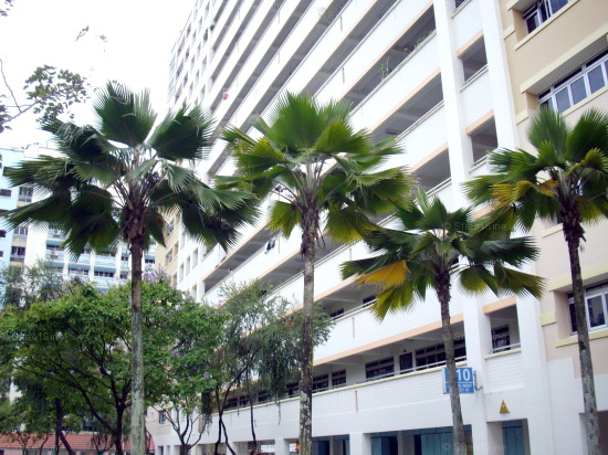 Blk 810 Jurong West Street 81 (Jurong West), HDB 5 Rooms #437072
